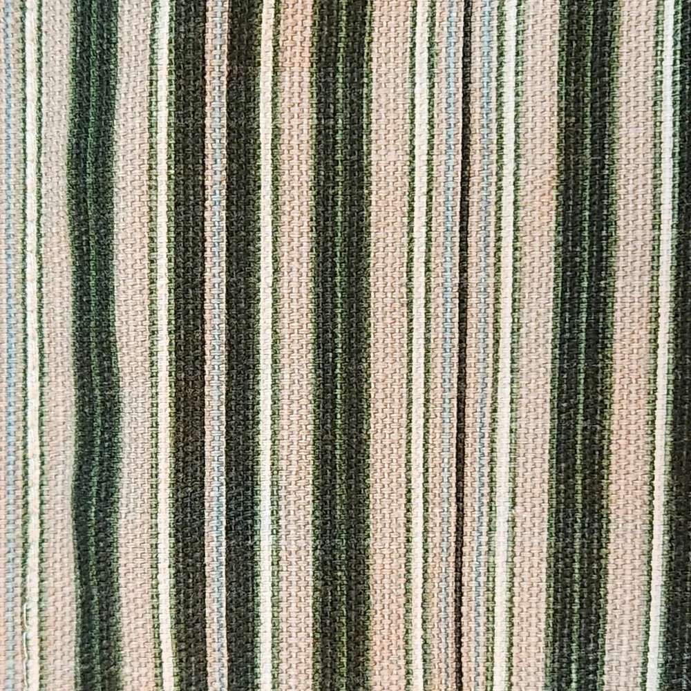 Waverly Williamsburg Garden Images III king floral stripe sham NWOT